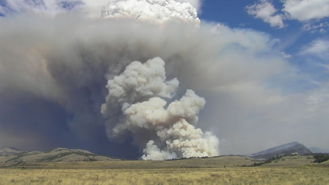 В Питкярантском округе 23 марта запланированы в...