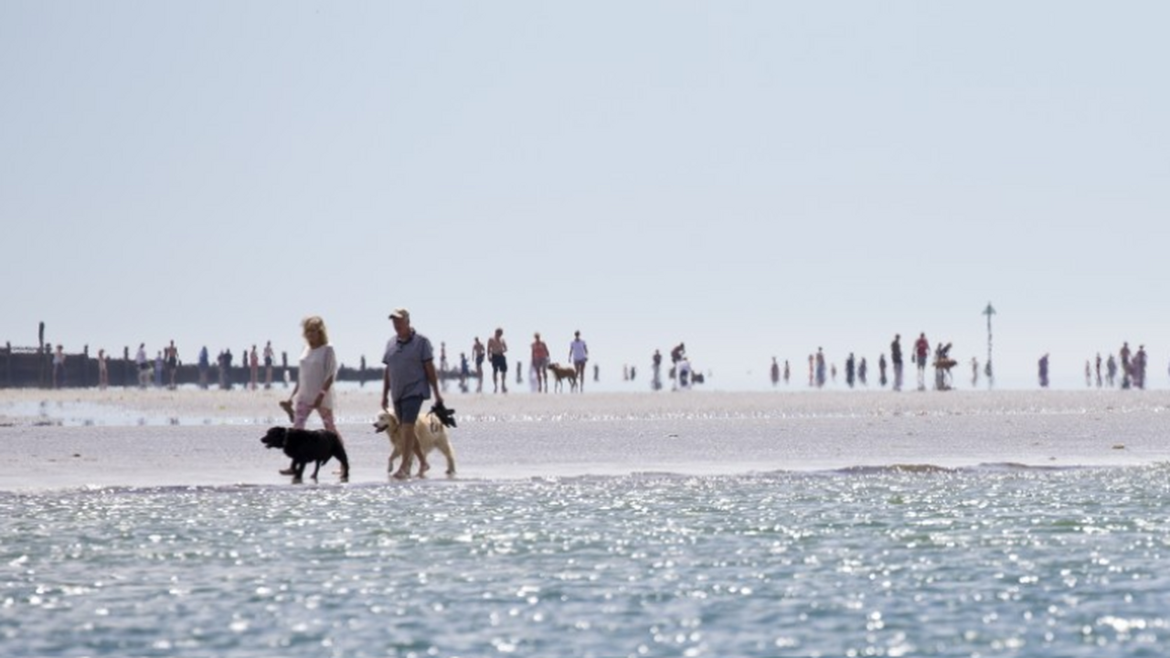 Лето 2026 в России готовит жаркий удар и может стать одним из самых знойных Предстоящее лето в Центральной России может пре...