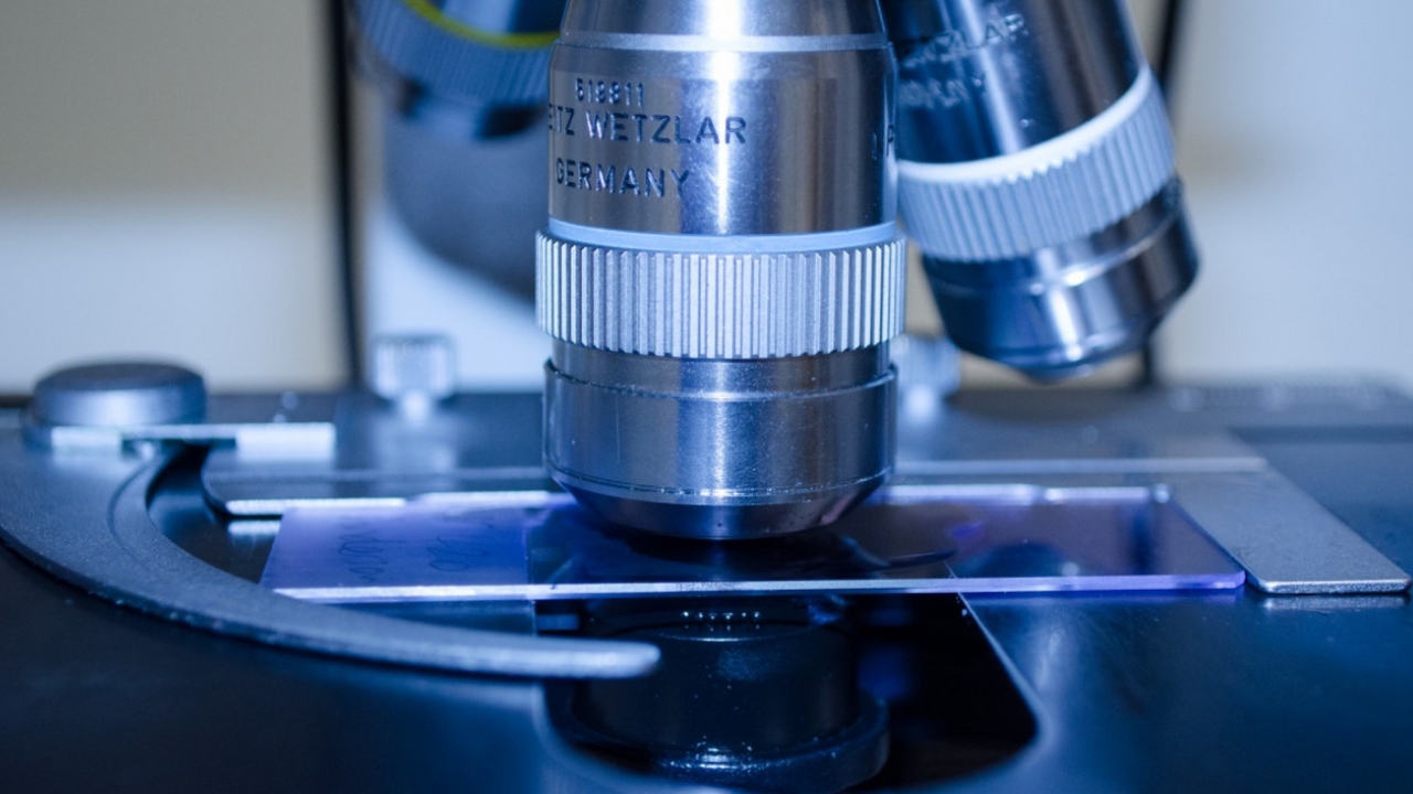 Исследователи нашли белок, без которого паразит...