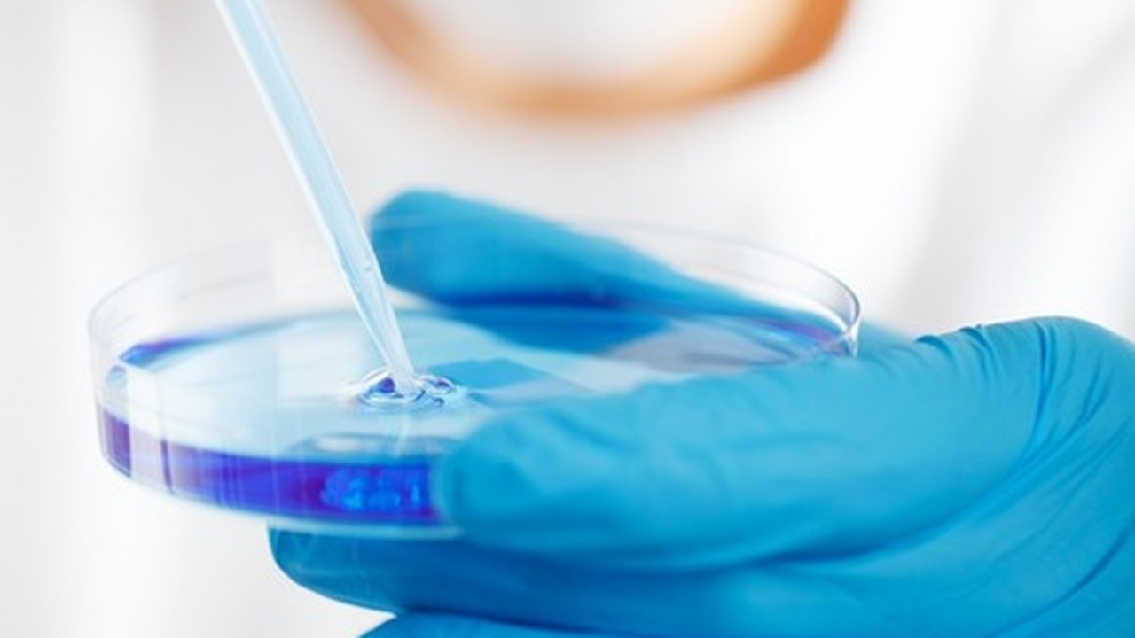 В научном сообществе активно обсуждается гипоте...