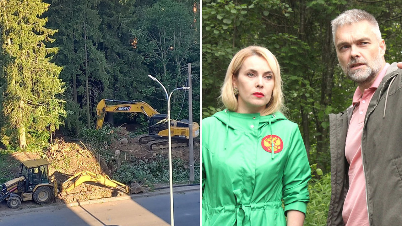 В Петрозаводске спорят из-за вырубки деревьев в парке Беличий остров Жители Петрозаводска обсуждают массовую вырубку...