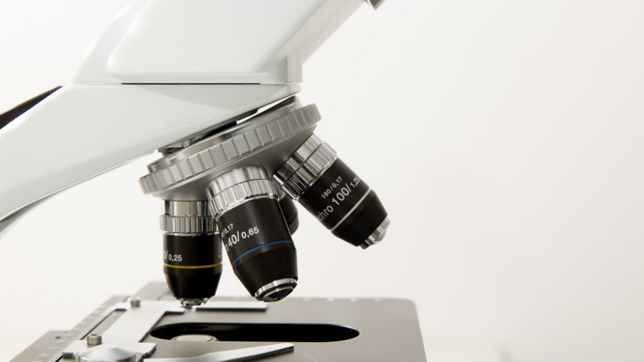 Исследователи из Национальной лаборатории Ок-Ри...