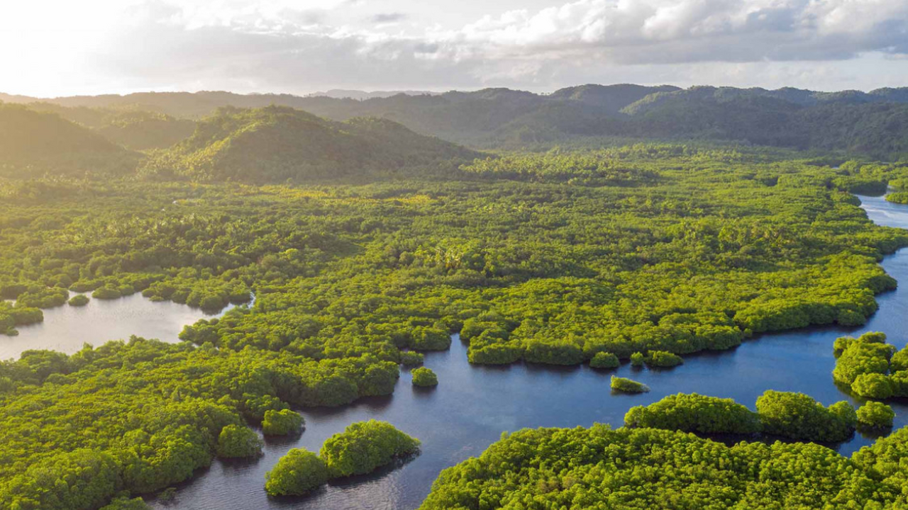 Амазония может стать зоной нового климатического пояса из-за глобального потепления Климатологи предупреждают о возможном формирова...