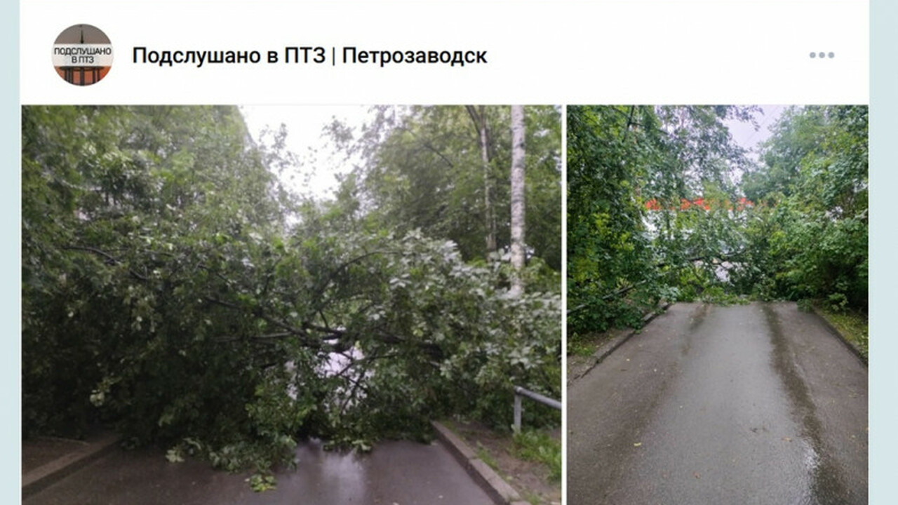Жильцы предупреждали: в Петрозаводске дерево упало после ветра На улице Парфенова в Петрозаводске дерево рухну...