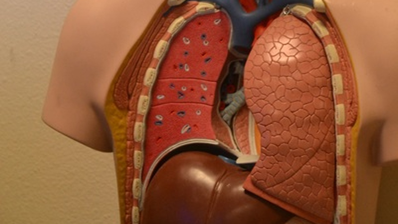 Ученые из Института Фрэнсиса Крика (Лондон) и ш...