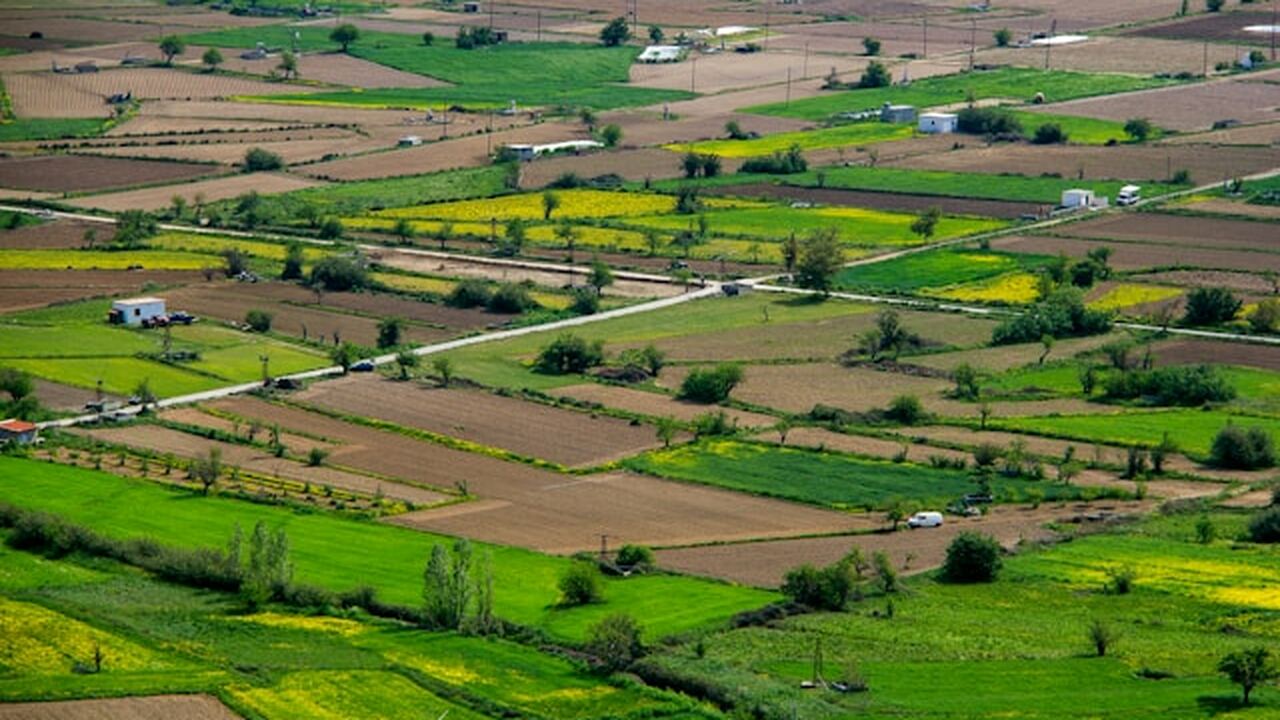 Суд аннулировал аренду 35 земельных участков в Карелии Арбитражный суд Карелии признал недействительны...