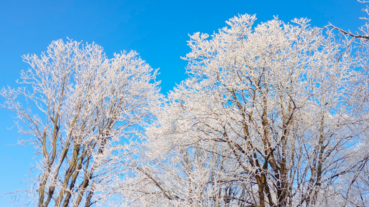 Весна в Москве наступит раньше срока: метеоролог назвал новую дату Метеорологическая весна в текущем году может на...