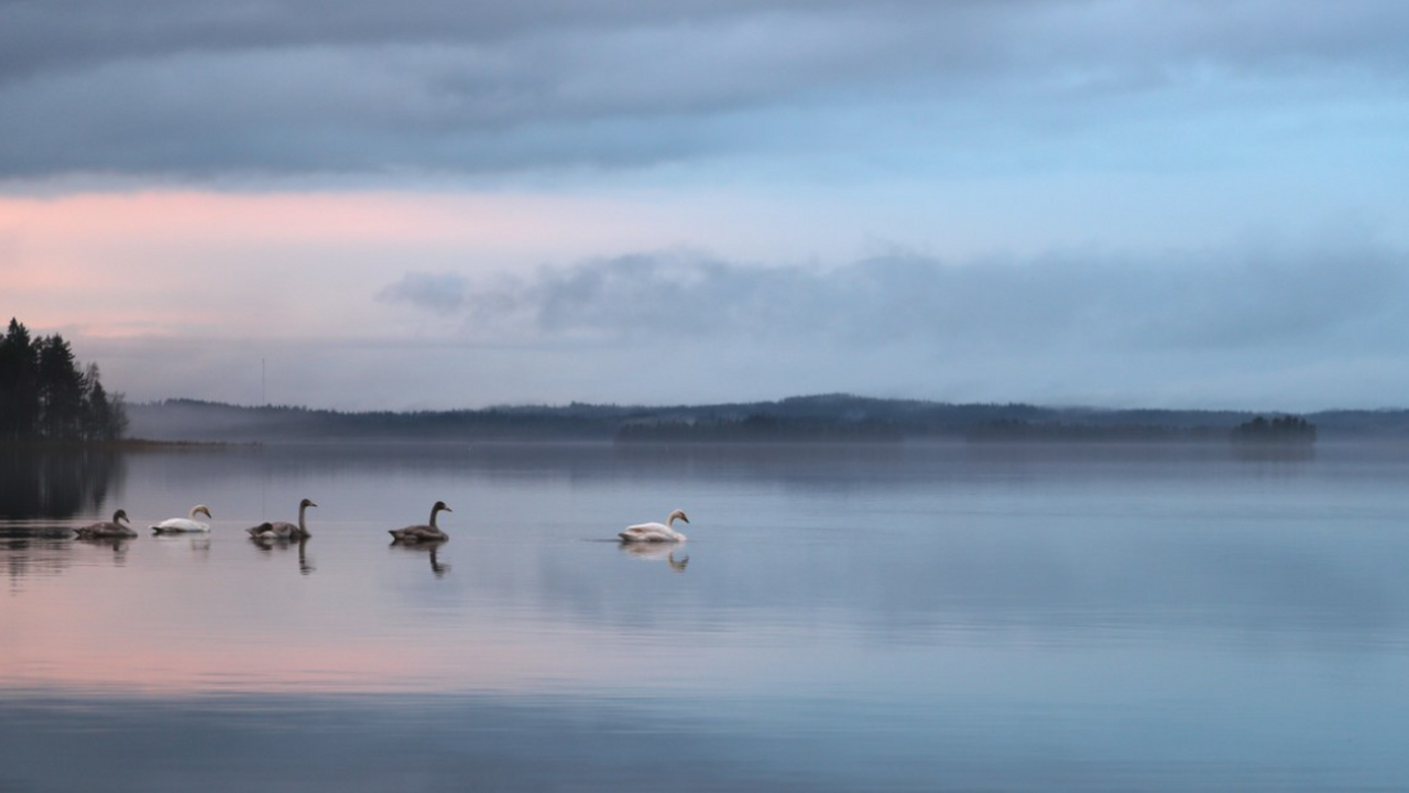 Карелия заняла место среди пяти наиболее популя...