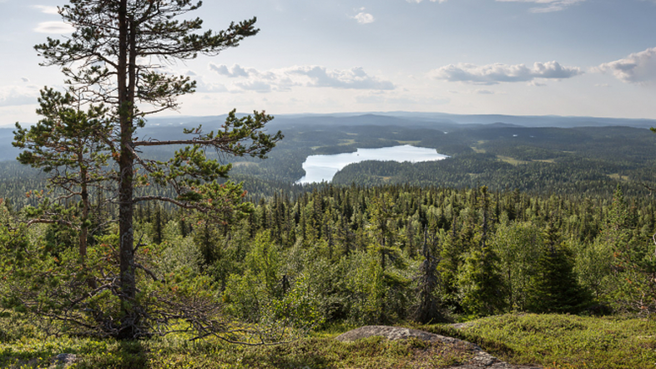 Вход в нацпарк «Паанаярви» в Карелии подорожал С 15 декабря текущего года посещение национальн...