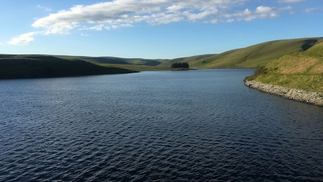 В Карелии обещают ликвидировать загрязнение Выгозера к 6 апреля В акватории Выгозера в районе Сегежского ЦБК бы...