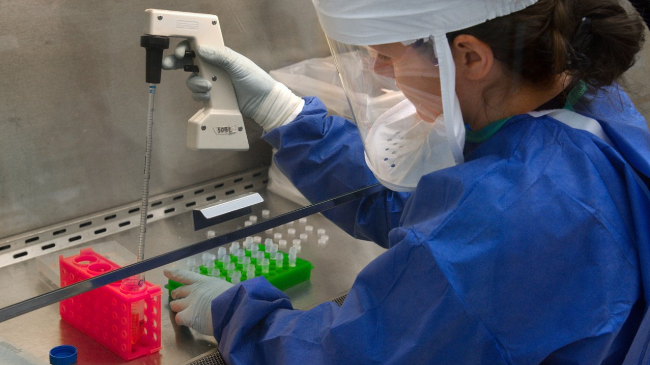 Ученые обнаружили кишечный белок, который ловит и убивает опасные бактерии Ученые обнаружили кишечный белок, который ловит...