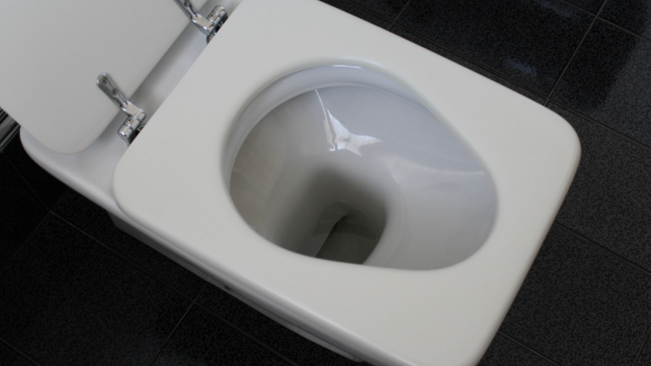 Опасения по поводу использования унитаза в обще...