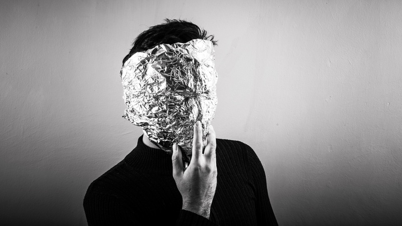 Ирландские ученые представили результаты масшта...