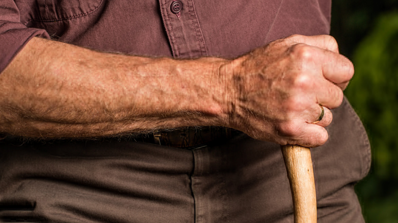 Ученые нашли связь между мышечной массой и старением мозга Исследователи Радиологического общества Северно...