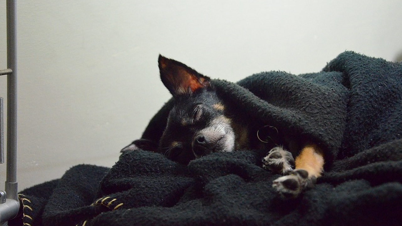 Быстрое засыпание после ночного пробуждения: метод нейробиолога Проснулись посреди ночи и не можете снова уснут...