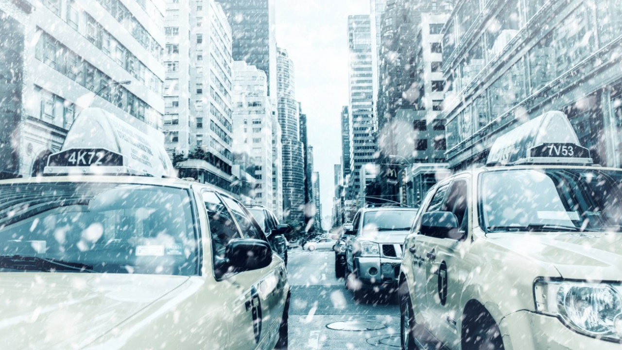 Тревел-блогерша Елена Лисейкина побывала в США ...