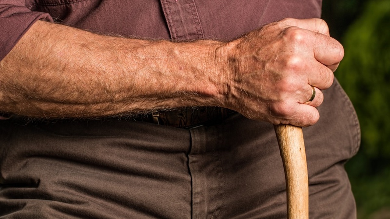 Депутаты партии «Новые люди» предложили упрости...