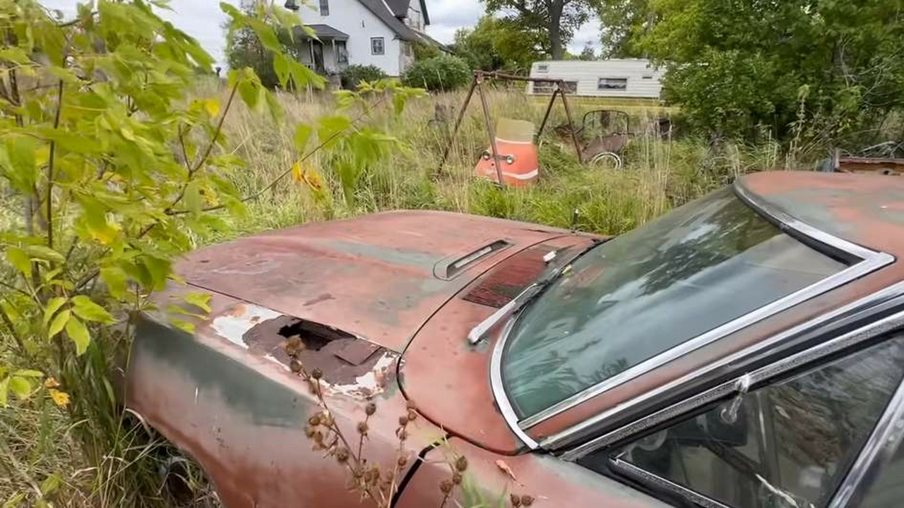 На заброшенном острове в Канаде нашли редкий Plymouth Road Runner 1970 года На одном из малолюдных островов Канады энтузиас...