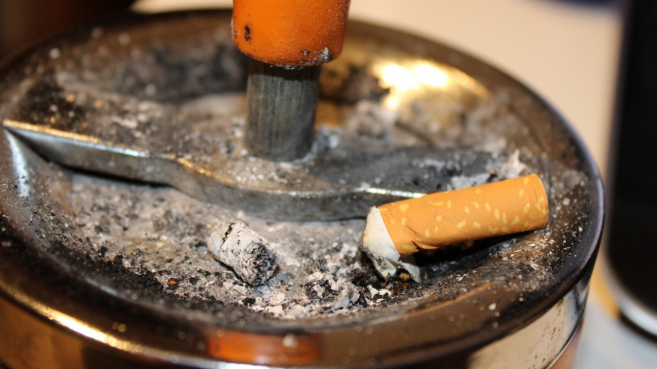 Брошенные сигаретные окурки увеличивают риск опасных патогенов в городах Китайские исследователи обнаружили, что обычные...