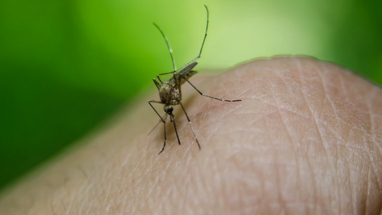 Популярный у россиян остров Бали столкнулся с н...