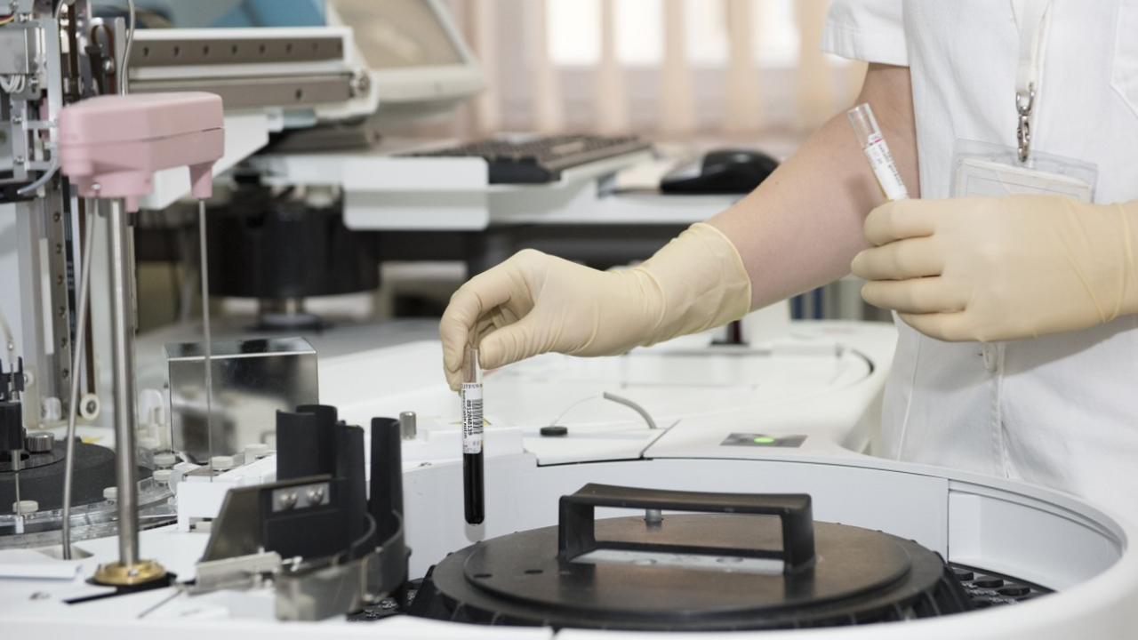 Ученые нашли клетки, способные замедлять биологическое старение Специалисты Университета имени Бен-Гуриона выяв...