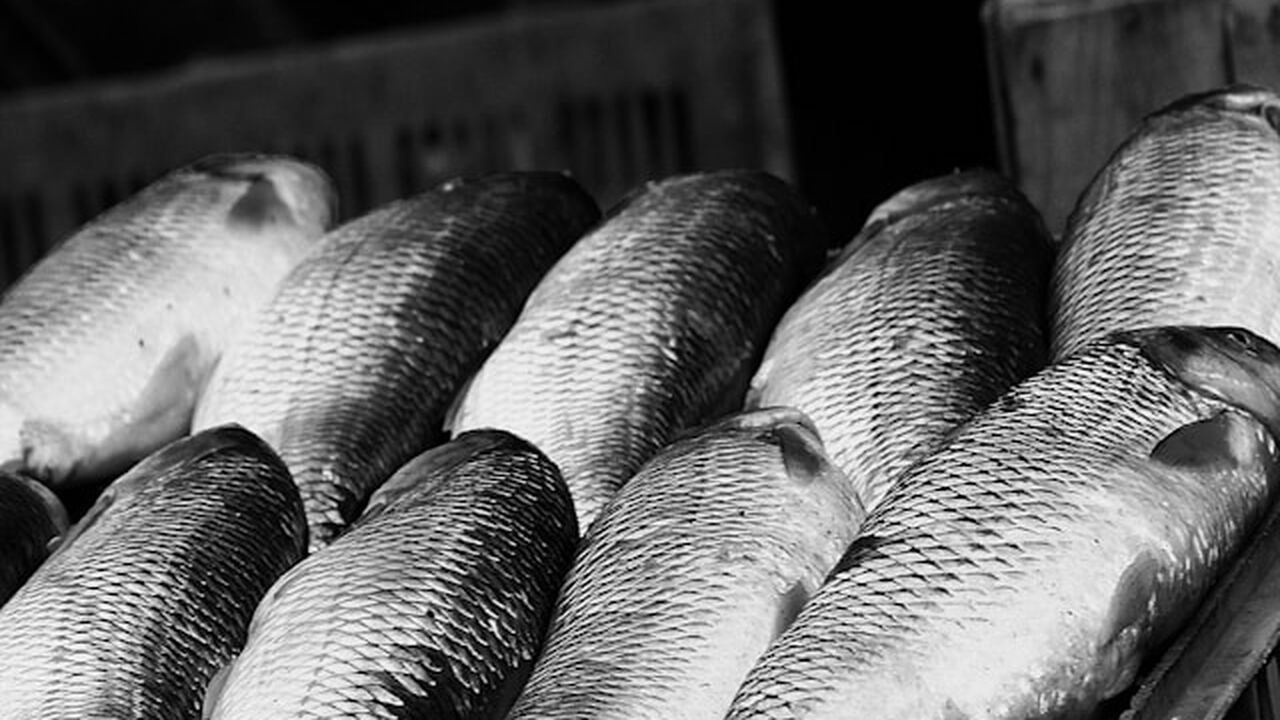 В Карелия зафиксирован высокий уровень доходов ...