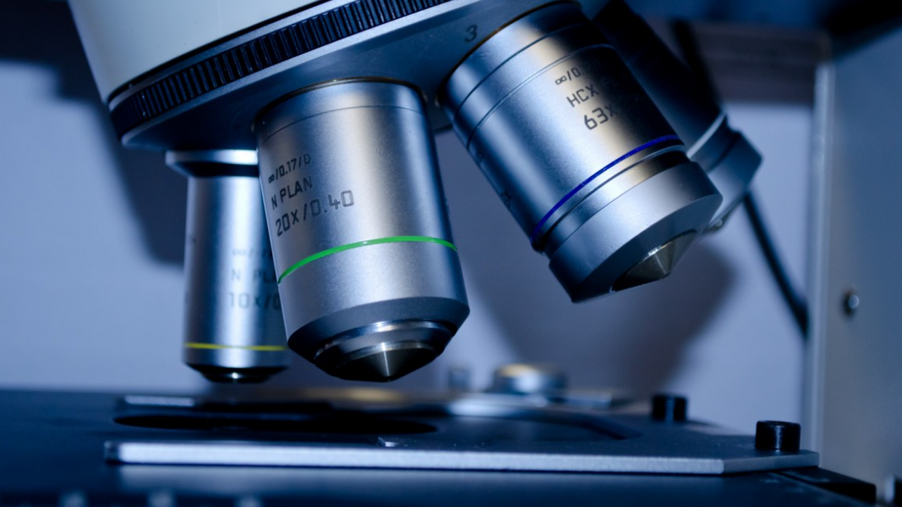 Исследователи считают, что именно генетический ...