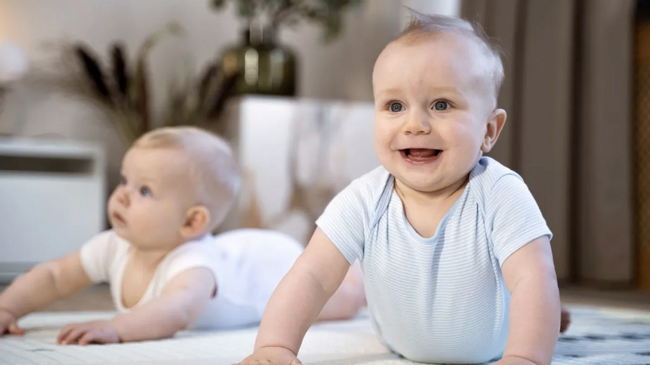 Исследователи пришли к выводу, что элементы обм...