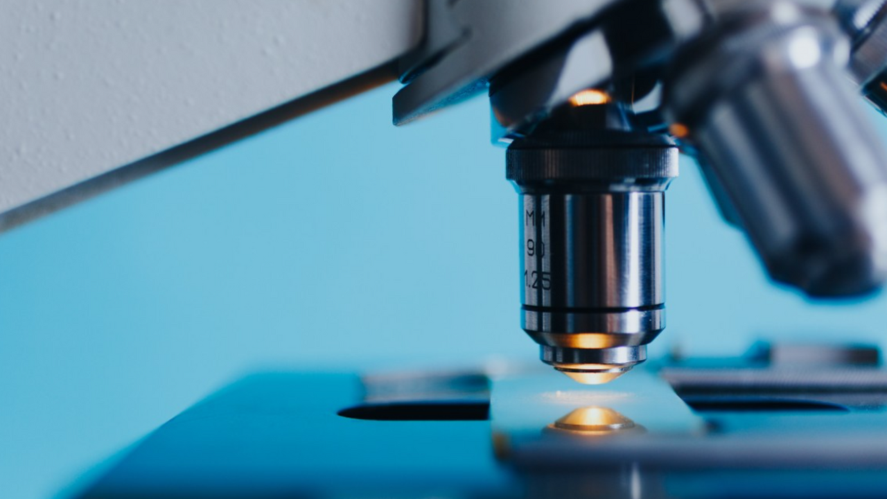 В Бурятии наладили производство омега-3 из байкальской нерпы В Бурятском государственном университете запуще...