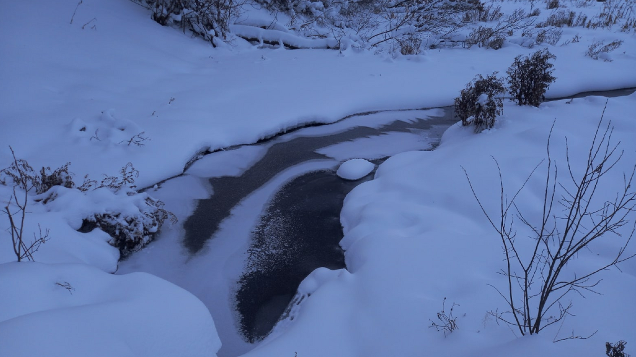 Ученые заявили об угрозе заморозков на Дону в апреле и мае Ученые предупредили о повышенном риске поздних ...