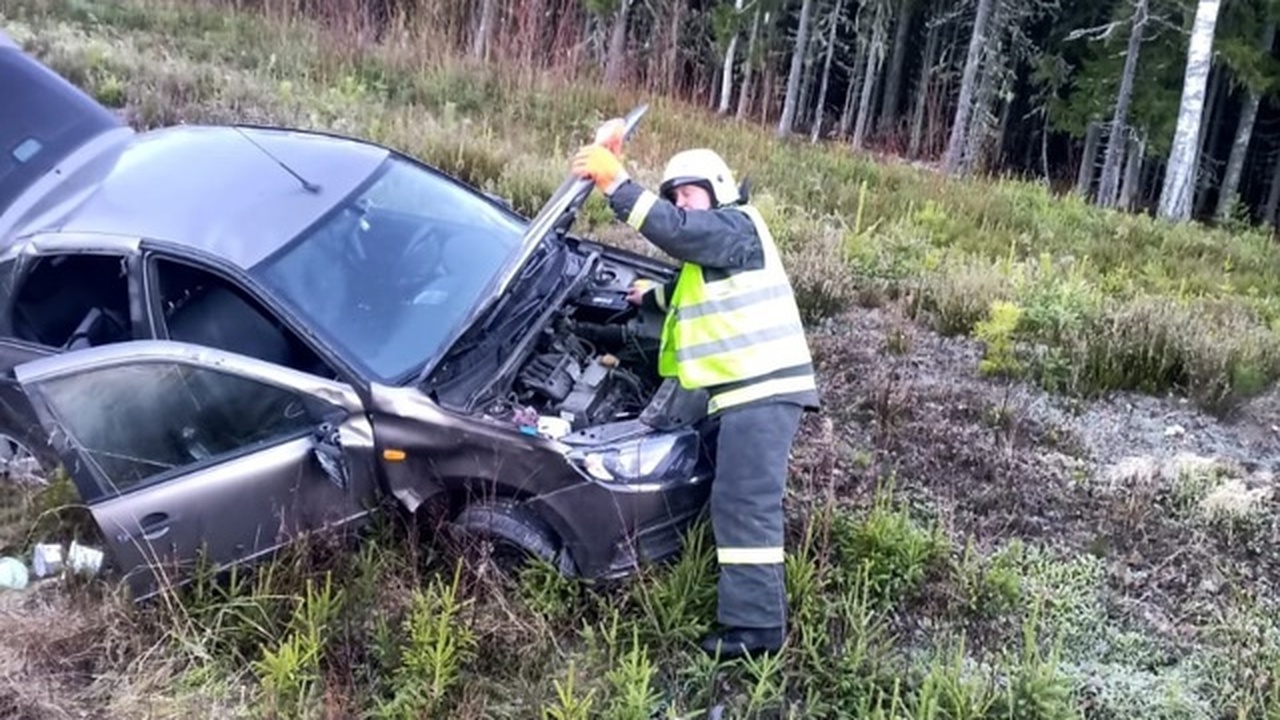 В Карелии легковушка вылетела в кювет, пострада...