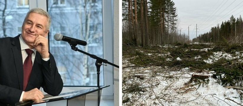 В Карелии планируют создать биоэкопоселения на основе лесных отходов Глава Карелии Артур Парфенчиков анонсировал нач...