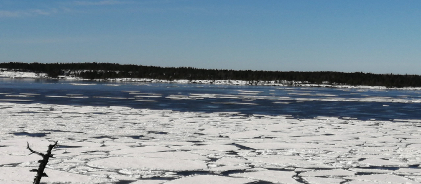 В ряде муниципалитетов Карелии установлены огра...