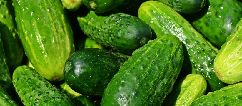 Огурцы бьют рекорды: овощи дорожают в Карелии В ноябре жители Карелии столкнулись с заметным ...