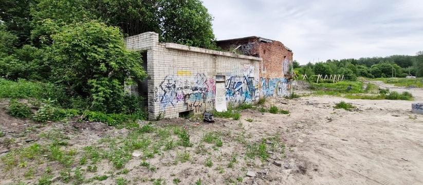 Бастрыкин поручил доложить об ударе током подростка в Карелии В Петрозаводске разгорается скандал вокруг прои...