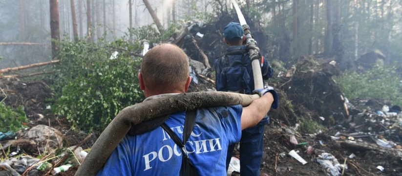 Карелия получит средства на борьбу с лесными пожарами Российское правительство планирует компенсирова...