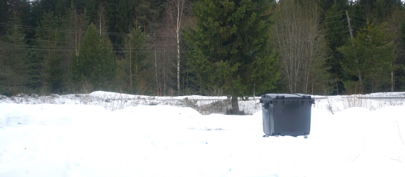 Республика Карелия вошла в число регионов с наи...