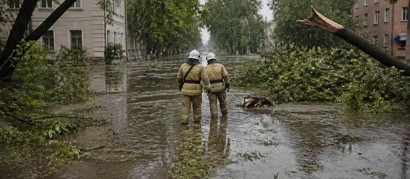 Мощный шторм в Пермском крае: повалены деревья,...