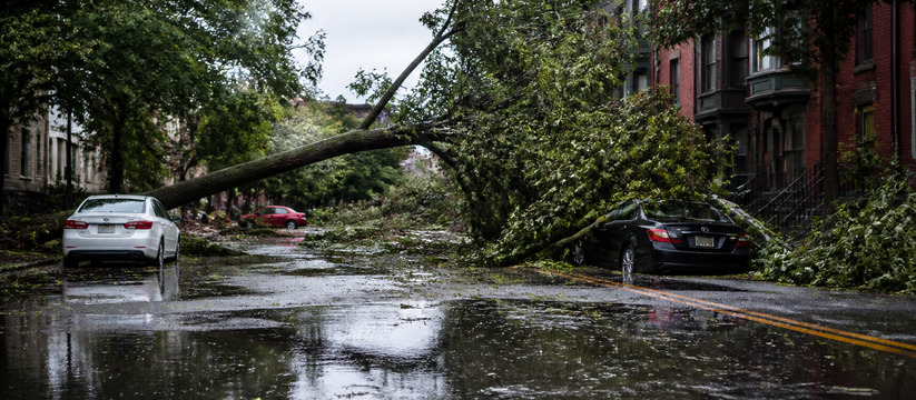 На Пермь обрушился сильнейший ливень за пять лет Сильнейший за пять лет ливень в Перми: повалены...