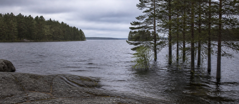 Уровень воды в Юшкозерском водохранилище превыс...