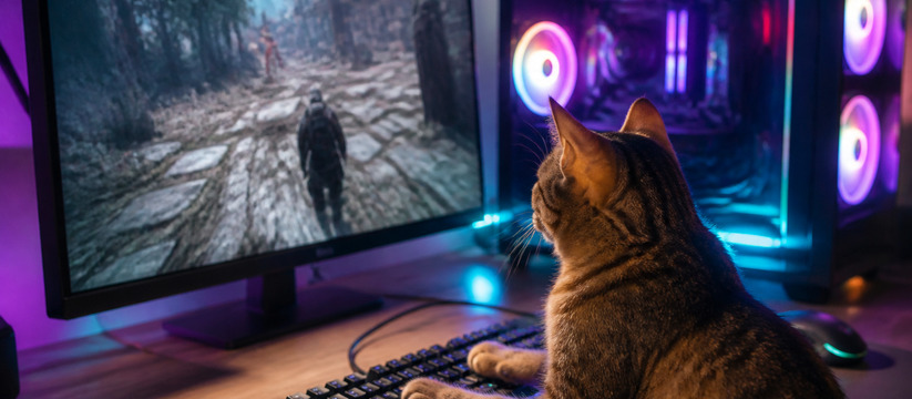 В бете Mewgenics появился русский язык В бета-версии Mewgenics появилась русская локал...
