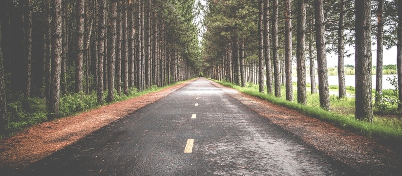В Республике Карелия определены приоритетные на...