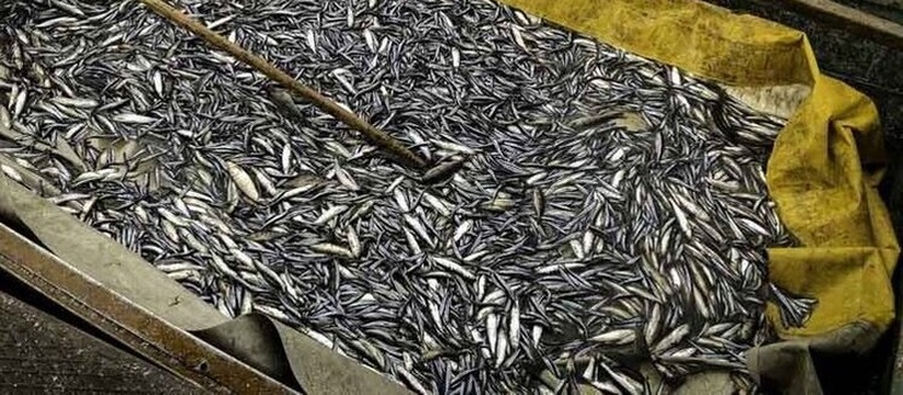 Предприятие из Карелии оштрафовано за нарушения...