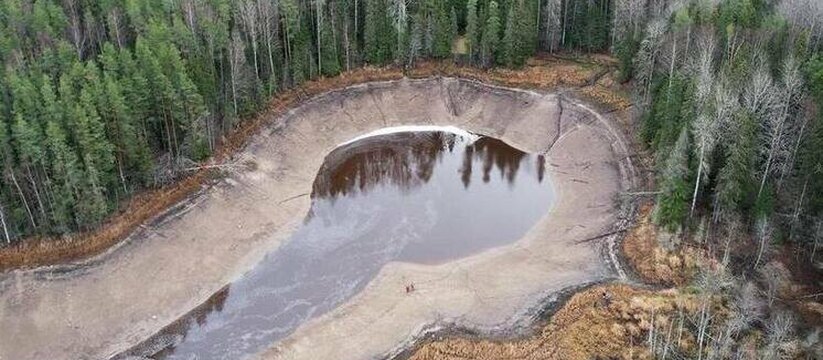 На границе Ленинградской и Вологодской областей...