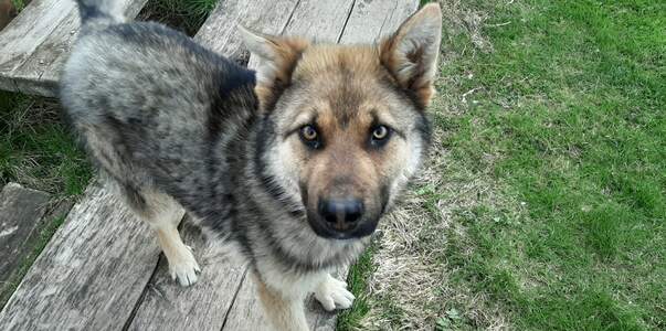 С апреля в России вводят новые правила для выгу...