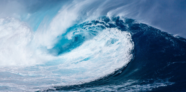 Ученые обнаружили под дном Тихого океана новых ...