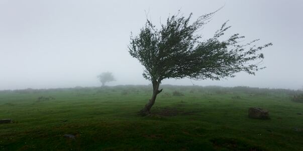 В Карелии объявлен «жёлтый» уровень погодной оп...