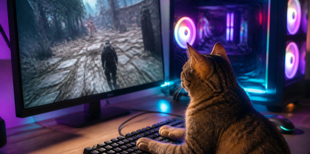 В бете Mewgenics появился русский язык