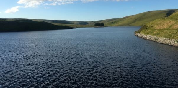 В Карелии обещают ликвидировать загрязнение Выг...