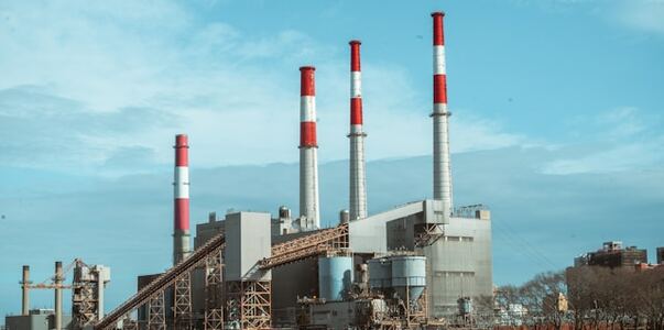 Экс-прокурор Карелии занял должность на промышл...